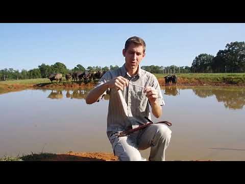 Down Under Knives, The Outback Bowie Knife