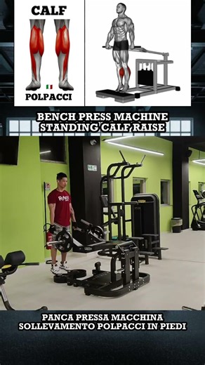 bench press machine standing calf raise #calf #motivation #gym #calfraise #exercise