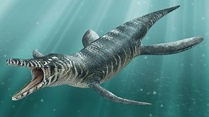 Kronosaurus - Alchetron, The Free Social Encyclopedia
