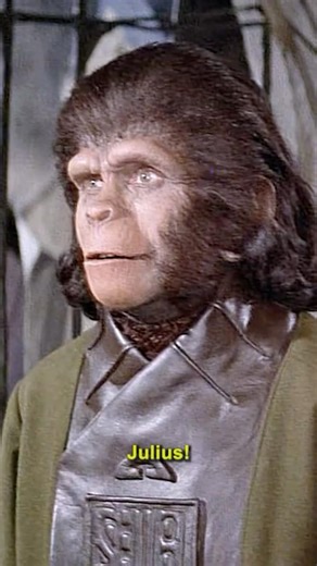 Humans vs. Apes: The Shocking Truth Unfolded 🦍 | Planet of the Apes