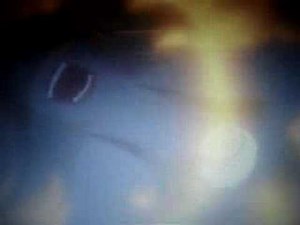 The Little Mermaid - Ursula's Transformation (Fandub)