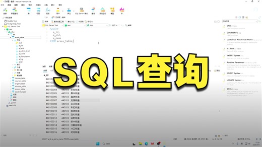 SQL Server 2025 基本查询