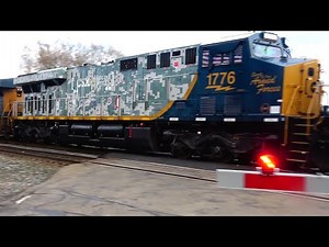 Amtrak Train 8 Hours Late. CSXT Engine 55. Long Range Train Meet. CSX Camo Unit. Some Heritage Units