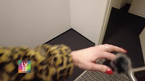 8.4K views · 13 reactions | Ein nýggjur miðil sá dagsins ljós mitt í valstríðnum til løgtingið. Frihedsbrevet.fo kallast miðilin, og Marin Hermansdóttir Eidesgaard var framvið fyrr í dag og tók valfepurin hjá nýggja miðlinum. | Kringvarp Føroya | Facebook