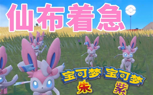 【宝可梦 朱紫】快速刷大量闪仙子伊布！手把手带你从0培养仙子伊布到毕业！！！