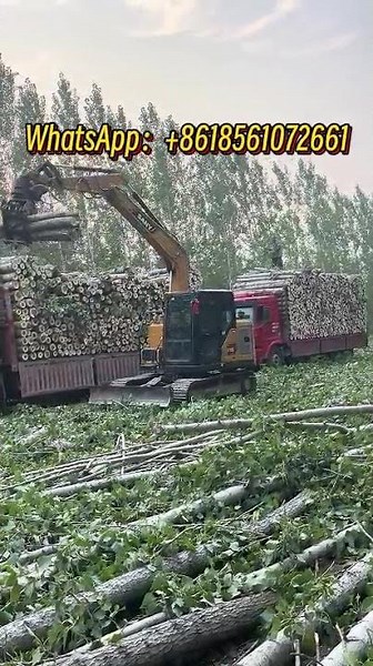 Light log Grapple on-site work demonstration #grapple #excavator #attachment #Eastmatch