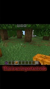 Interesting Fact #minecraft #pumkin #enderman #end #viral #trending