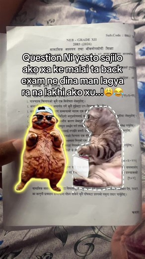 Sajilo Question! 😂 Back Exam Dilemma
