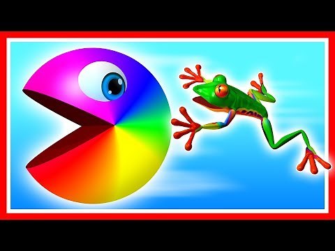 Join Pacman and learn colors as he finds a frog, Parrot, and travels down a magic slide