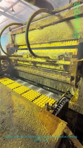 Egg Carton Production: How These Protective Trays Are Made