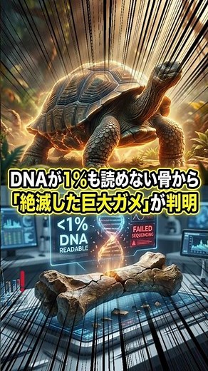 DNAが1％も読めない骨から「絶滅した巨大ガメ」が判明#luminova #動物 #歴史 #ガラパゴス #ゾウガメ #絶滅動物 #DNA #雑学