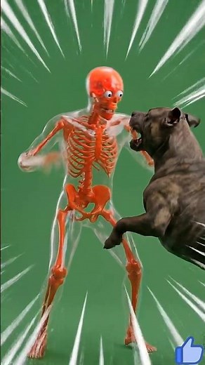 O que o vírus da raiva faz com seu cérebro… depois que já é tarde#saude #curiosidades