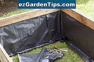 Hur man odlar caesalpinia pulcherrima som hus växt 🌱 Tips Trädgårdsmästare - Sv.ezGardenTips.com