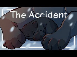 The Accident || Warriors OC PMV