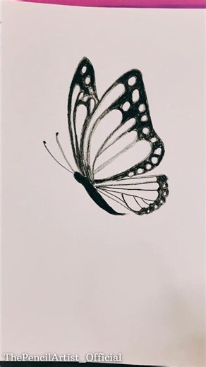“Easy Butterfly Pencil Sketch 🦋 | Simple Drawing Tutorial #shorts#viral #trending