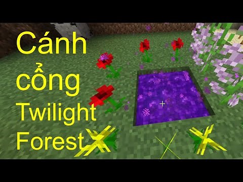 Minecraft- Cách tạo ra cánh cổng đến với Twilight Forest Mod