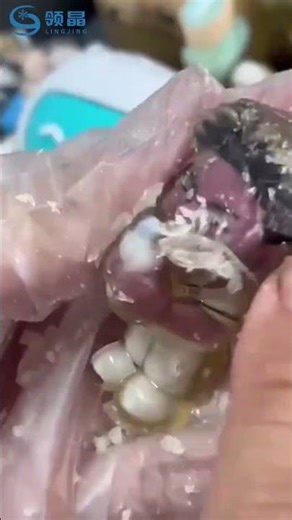 Lifelike 3D Human Figure ✨