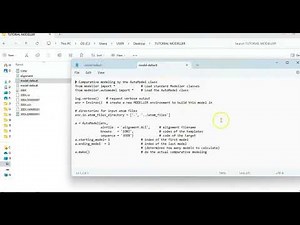 How to Run MODELLER on Windows (using the Command Prompt)