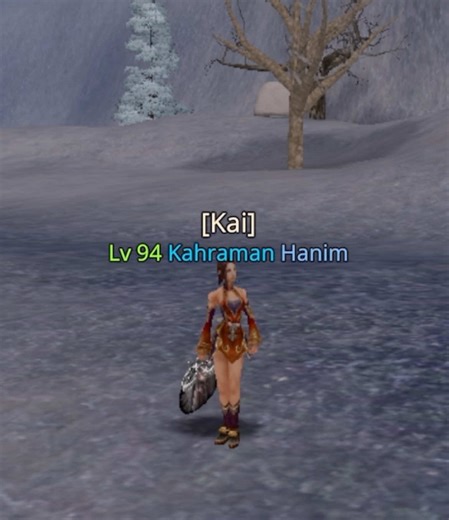 Explore the World of Metin2 in Royale Online