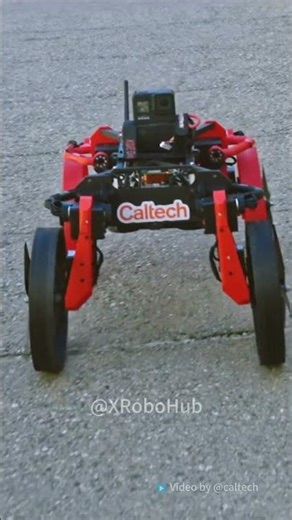 🚁#flyingrobot is REAL! Unitree G1 just merged with a transforming drone! #unitree #humanoidrobot