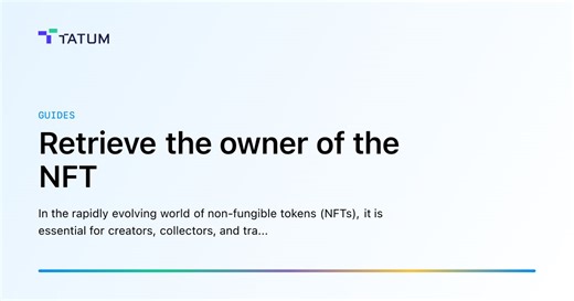 Retrieve the owner of the NFT
