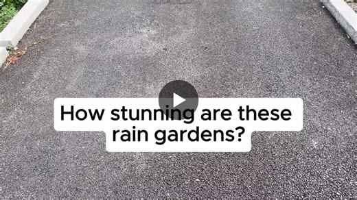 These rain gardens are a win-win-win-win urban tool. We pave over every square centimeter to move and store cars, and then we act surprised when our basements flood, when our kids can t play outside… | Lior Steinberg | 10 comments