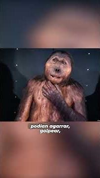 La mano increíble de hace 1,5 millones de años