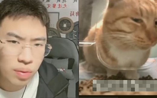 鉴宝名场面：听泉鉴猫