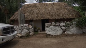 Conectando culturas a la justicia: Exponen los desafíos de las comunidades indígenas. | Sipse Noticias