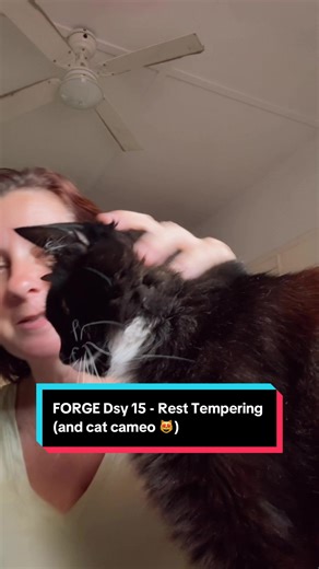 FORGE Dsy 15 - Rest tempering Rest is such a vital part of success. Yes it is! If are constantly busy or on the go it is difficult for your nervous system to relax and ground. This leads to stress, exhaustion and both mental and physical fatigue. Burnout, depression even weight gain. Honour yourself today by intentionally resting. Allow your body & mind to reset. Affirmation is ‘Rest preserves my power’. #forgedailypractice