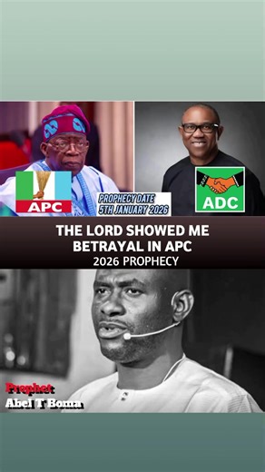 2027 Nigeria Election Predictions and Prophecies