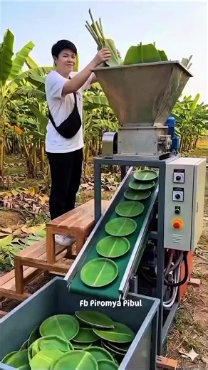 Automated Banana Leaf Plate Cutting Machine