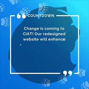 Big things are coming!✨️ The next evolution of CIAT begins with a...