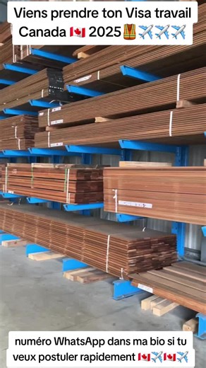 immigration Canada est a la recherche des personnes suivantes tél que : Secrétaire Infirmière ou infirmiers Comptable Chauffeur Ingénieur en n'importe quel domaine d'activité Agriculture Ménagère Électricien bâtiment Enseignant ou Enseignante Gardiennage Coiffeur ou coiffeuse Aide soignante Cuisinier où cuisinière Restauration #visitcanada🇨🇦 #visatravail🇨🇦 #canada🇨🇦 #2025 #cotedivoire🇨🇮 #mali #burkinatiktok🇧🇫 #cameroontiktok🇨🇲 #senegalaise_tik_tok #flyyyyyyyyyyyyy #cameroontiktok🇨🇲