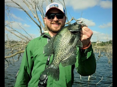 Spring Crappie Fishing in Nebraska - Pre-Spawn Crappies