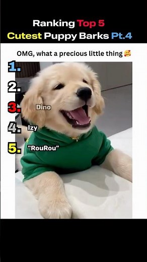Ranking Top 5 Cutest Puppy Barks Pt 4 🐾💖