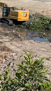 Cleaning the creek ❤️😇 #creek #creekside #creeksidevillage #creekwater #creekfront #creekharbour | Estrella T. Sanchez