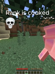 Understanding Minecraft Ranking System