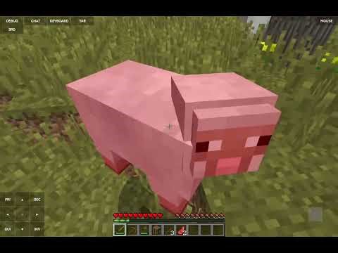 I download minecraft java