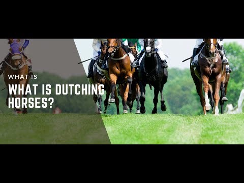 What is Dutching Horses?