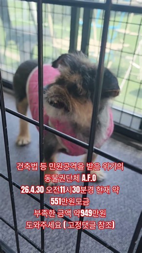 건축법 등의 민원공격을 받은 동물권 단체 A.F.O 를 도와주세요 ( 고정댓글 참조)