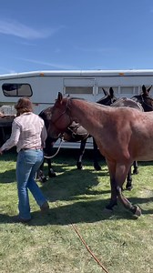 The Bitterroot NF pack string has arrived at the Ravalli County Fairgrounds! Come meet these amazing animals and our packer Nikki Kupfner and learn more about this tradition. They’ll be here till 4pm! | Discover Bitterroot National Forest