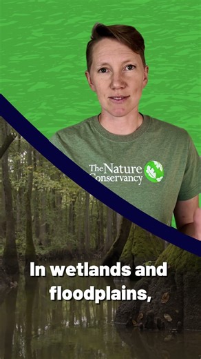 Where does a river start & how does it grow?