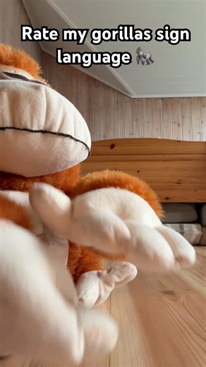 Rate my gorillas sign language 🦍 🤣#funny