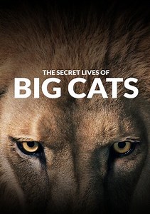The Secret Lives of Big Cats: The Secret Lives Of Pumas
