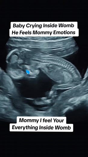 Baby Crying Inside Womb: Mommy's Emotions Felt