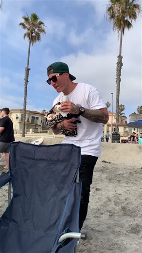 Cleo the cat (@cleothecattio)’s videos with original sound - Cleo the cat