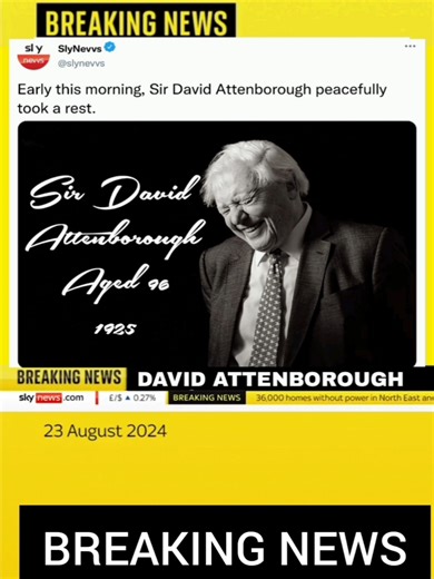 Society's News (@societysnews)’s videos with original sound - Society's News