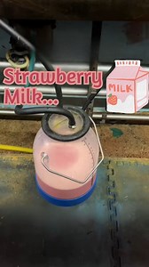 Strawberry milk…? 🍓 Not quite. Various things can cause there to be blood in a cow’s milk, none of which are healthy for the cow. If a cow does have blood in her milk, she needs immediate medical attention and her milk cannot be used. #milk #dairy #cow #safety #dairydoc #dairykind | Dairy Doc