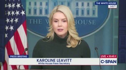 White House claims ICE protests are 'cover-up for Minneapolis fraud'